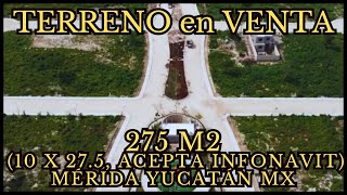 🔴VENTA TERRENO MÉRIDA 275 M2 ACEPTA INFONAVIT realestate mexico merida yucatán bienesraices [upl. by Daveen]