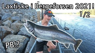 Laxfiske i Bergeforsen 2021 del 12 [upl. by Tudor]