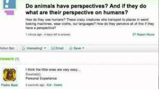 Trolling Yahoo Answers [upl. by Annaeirb]