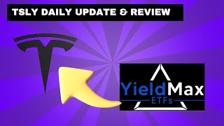 The YIELDMAX TSLY Review amp Update [upl. by Drannel416]