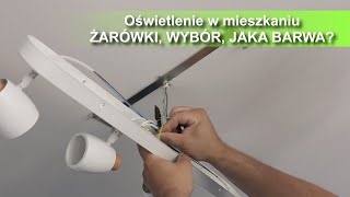 Oświetlenie mieszkania domu Lampy jakie żarówki  montaż 🛠 Philips PILA [upl. by Franklin493]