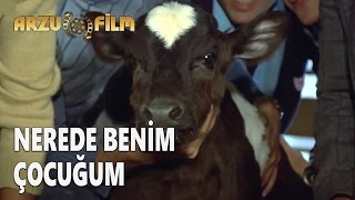 Hababam Sınıfı Uyanıyor  Nerede Benim Çocuğum [upl. by Eiramanitsirhc]