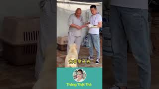 A cay 🌶️ thinhhanh funny embe haihuoc beyeu duet treem pets cute baby [upl. by Dnalhsa]