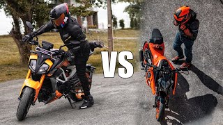 Apache RTR 310 VS 2024 Duke 390  Which is Better [upl. by Garrik270]