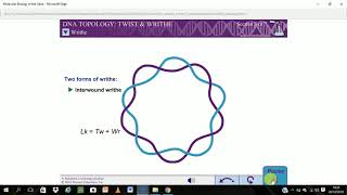 DNA Topology twist and writhe [upl. by Anelra]