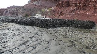 Amazing Flash Flood  Debris Flow Southern Utah HD [upl. by Edmond]