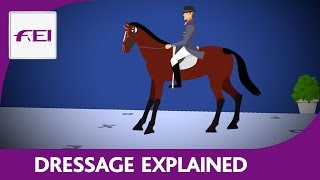 Introduction to Dressage [upl. by Aicemed]