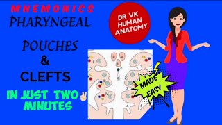 PHARYNGEAL POUCHES😀 amp CLEFTS  DERIVATIVES EASY MNEMONICS😍  NEW VIDEO 2021  Dr Vk Anatomy [upl. by Eamaj717]