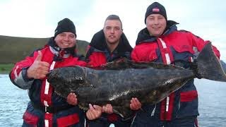 Vissen in Noorwegen Nappstraumen Lofoten [upl. by Eriha]