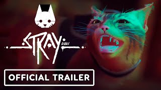 Stray  Official Launch Trailer [upl. by Shauna431]