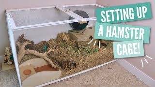 How to Setup a Hamster Cage [upl. by Noreen161]