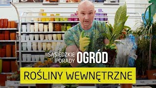 Jak przesadzać rośliny doniczkowe Sąsiedzie Porady – Ogród [upl. by Wernsman693]