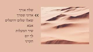 Psalms in Hebrew  Sheli Myers  מזמורי תהילים  שלי מאיירס [upl. by Yraek555]