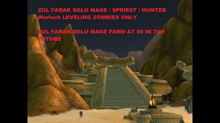 Zul farak solo mage leveling WoW SoD Phase 3 [upl. by Akeber]