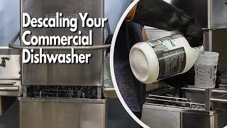 How to Delime and Descale Commercial Dishwasher Machine Active Element Maintenance Series [upl. by Ecadnarb813]