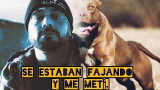 AL2 MORDIDO POR UNO DE SUS PERROS INTENTANDO APLACAR PELEA [upl. by Ardiedak259]