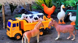 animal video mini tractor amba Cow video cattle bommalu dog abcd horse  Nov 26 2024914 AM [upl. by Rupert108]