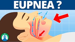 Eupnea Medical Definition  Quick Explainer Video [upl. by Samled]