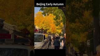 【BEIJING】 BeijingHutong in Early Autumn travelchina beijing beijingtravel tourism [upl. by Lib]