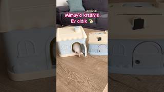 Mimuya ev aldık oyuncak kumbara 🏡 reklam hamster evi hamsterhouse [upl. by Yaron]