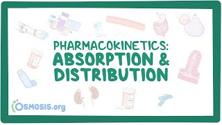 Pharmacokinetics Drug absorption and distribution [upl. by Leontina]