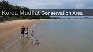 Korea mudflat Drone 무안군 더휴펜션 [upl. by Libbie924]