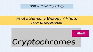 Cryptochromes in Hindi  Photo Sensory biology [upl. by Kristian]