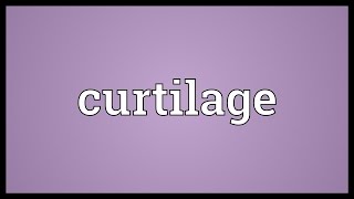 Curtilage Meaning [upl. by Coates]