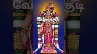 Thiruppavai Glimpse  By Swami Velukudi Krishnantamil shorts krishna vishnu andal upanyasam [upl. by Shaper]