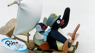 Pingu Around Town  Pingu  Official Channel  Cartoons For Kids [upl. by Gardiner]