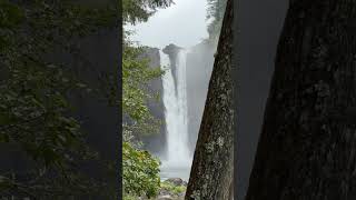 Some real Twin Peaks vibes at Snoqualmie Falls [upl. by Sinned]