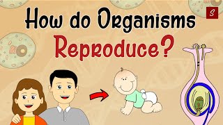 How Do Organism Reproduce Class 10 Full Chapter Animation  Class 10 Science Chapter 8  CBSE [upl. by Cran]