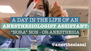 A day in the life of an Anesthesiologist Assistant Non OR Anesthesia quotNORAquot [upl. by Harland492]