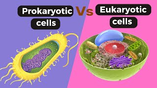 Prokaryotic cell Vs Eukaryotic cells Difference between prokaryotic and eukaryotic cell [upl. by Winslow]