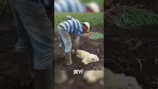 Köpeğini bu yüzden çamura soktu 🥺❤️ [upl. by Hanway]