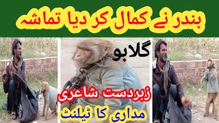 Bandar Ka Tamasha  Bandar Ka Khel  Monkey Ka Khel Bandar Ka Drama  Nisar Lahori Vlogs [upl. by Lister]