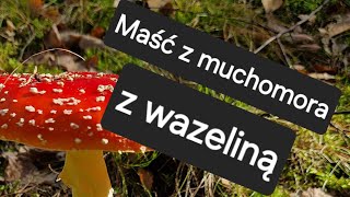 Maść z muchomora na bazie wazeliny 🍄 [upl. by Isia]