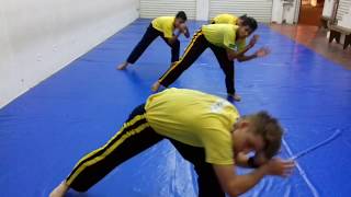 Capoeira Angola fundamentos e treinamento [upl. by Nyleuqcaj]