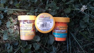 POWERBAIT trout fishing  TIPS TRICKS FACTS amp MYTHS [upl. by Etterb]