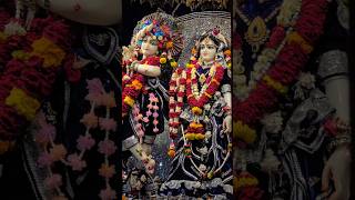 Shri Krishna Bhakti Songs l Suno Krishna Pyaare l Swati Mishra Song l Shri Krishna Bhajan l shorts [upl. by Kenton]