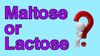 How to distinguish Maltose amp Lactose  Identification of Maltose amp Lactose  Osazone test [upl. by Htabazile]