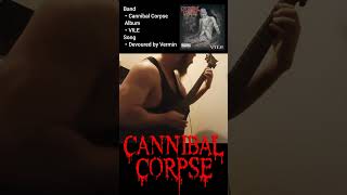 【デスメタルGt】Cannibal Corpse  Devoured by VerminGuitar Cover [upl. by Gloria]