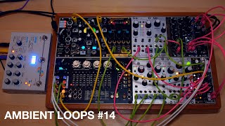 Ambient loops 14 ∞ Eurorack Disting EX Resonate Morphagene Beads Fx Aid  Microcosm [upl. by Aidualk780]