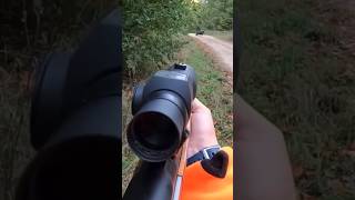 Tir gros sanglier au saut du chemin aimpoint hunting cinghiale jabali wildboar chasse battue [upl. by Loginov]