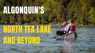 Algonquins North Tea Lake amp Beyond [upl. by Dayiz]