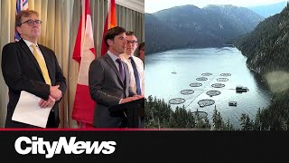 BC salmon farms given 2029 deadline to transition to land [upl. by Agnola394]