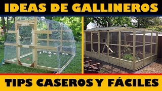 Las Mejores Ideas para hacer Gallineros  Tips Caseros [upl. by Otit93]