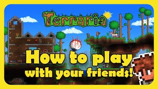 How to play with friends in Terraria for FREE [upl. by Secnarf]