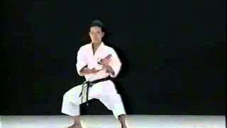 Kata Seienchin shito ryu karate [upl. by Llerrem]