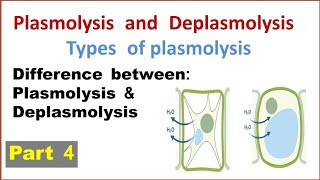 Plasmolysis and deplasmolysis  Types of plasmolysis  Difference between plasmolysis deplasmolysis [upl. by Atibat]